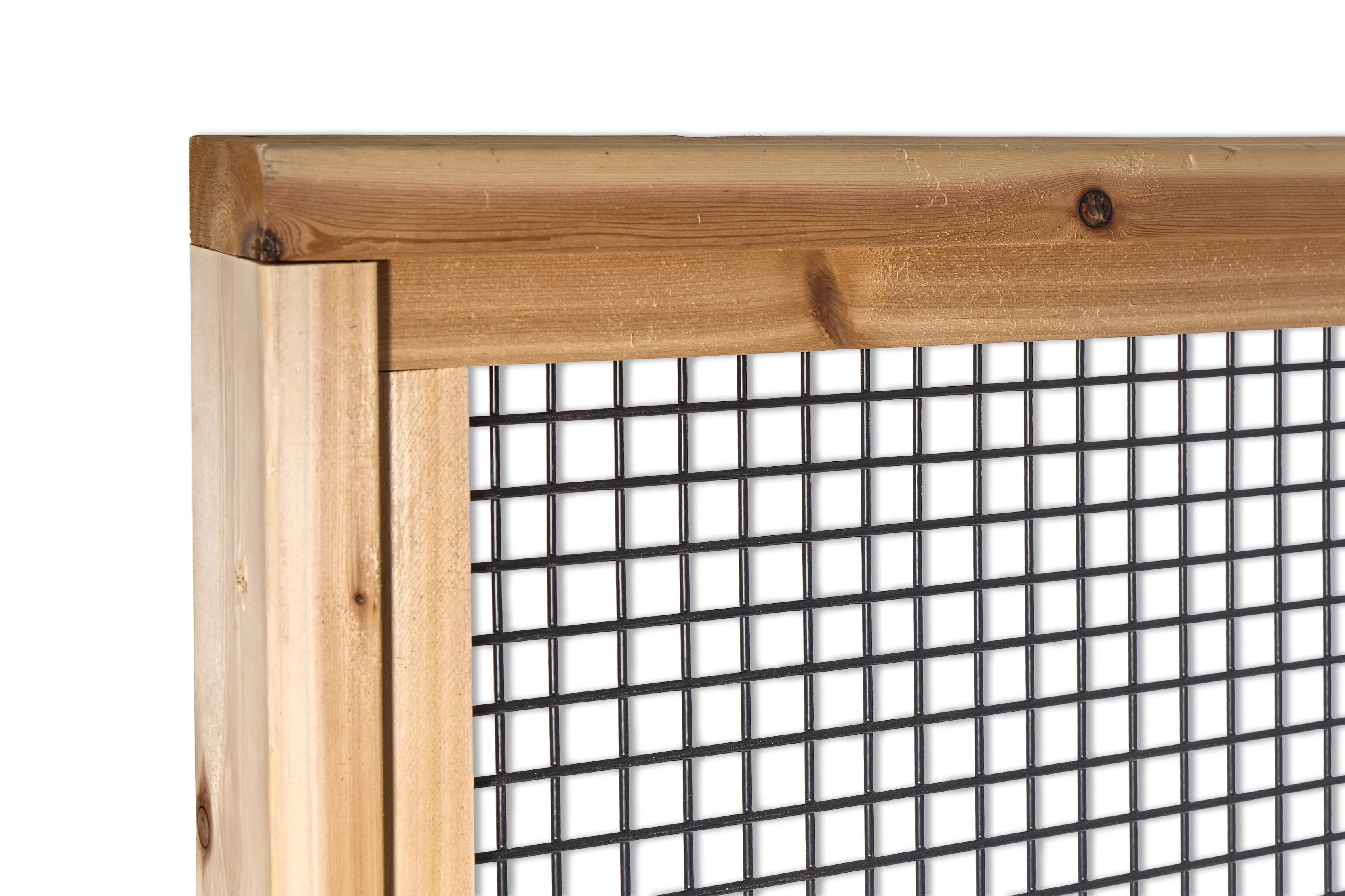 Black Cattle Panel Fence - Image 27