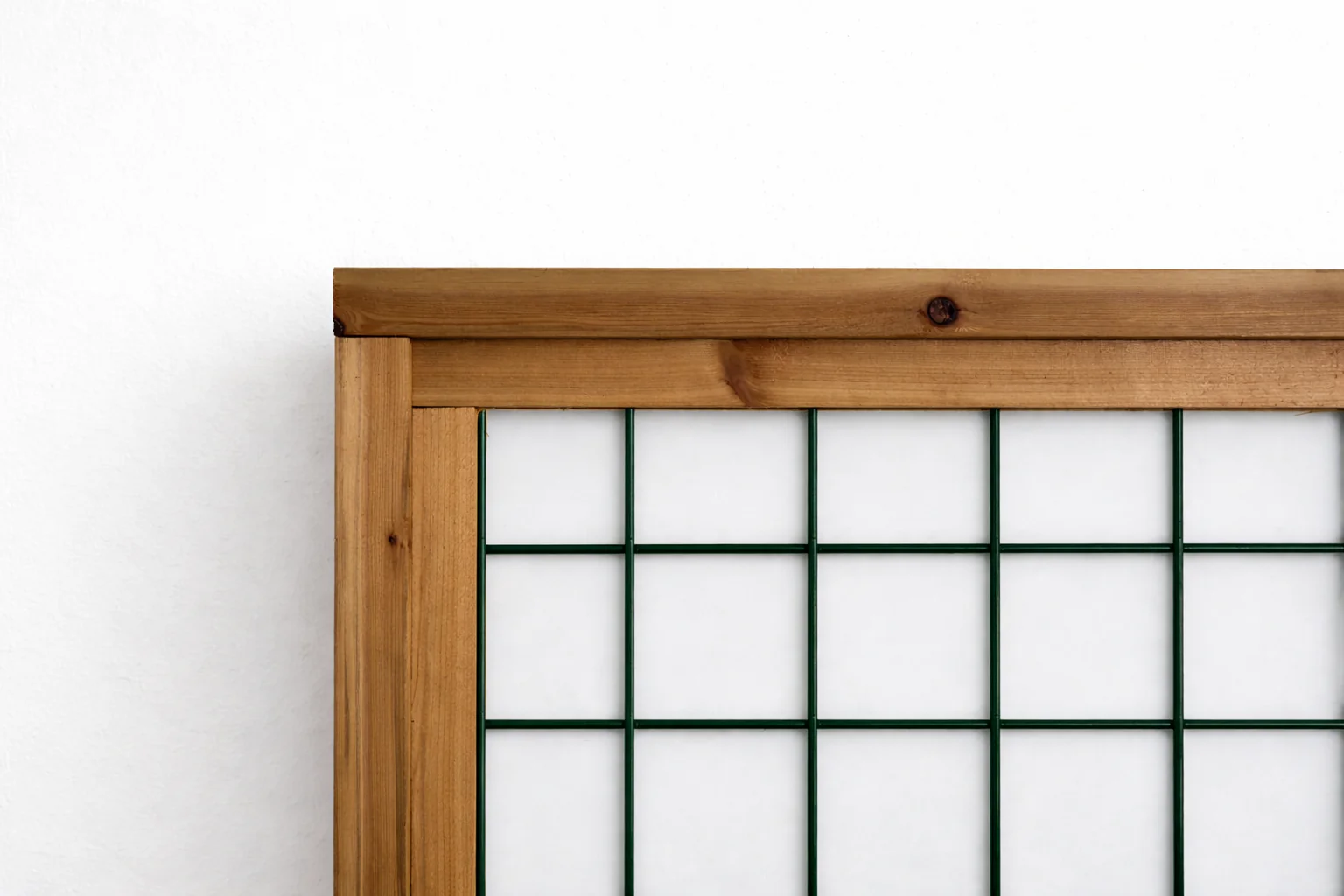 Hog Wire Deck & Railing